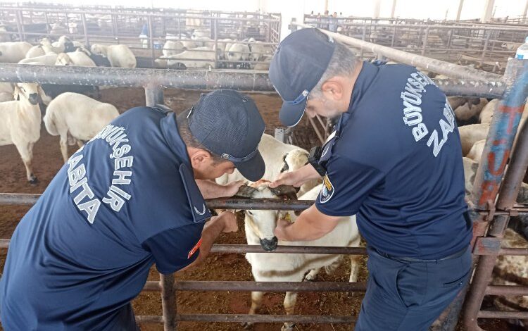Gaziantep’te bayram öncesi denetimler sürüyor Gaziantep’te bayram öncesi denetimler sürüyor