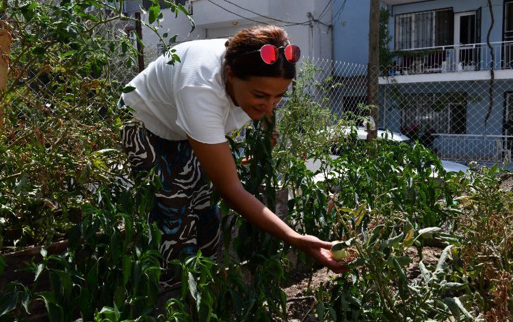 İzmir Çiğli’de ‘Kent Bostanları’nda ilk etap tamam İzmir Çiğli’de ‘Kent Bostanları’nda ilk etap tamam