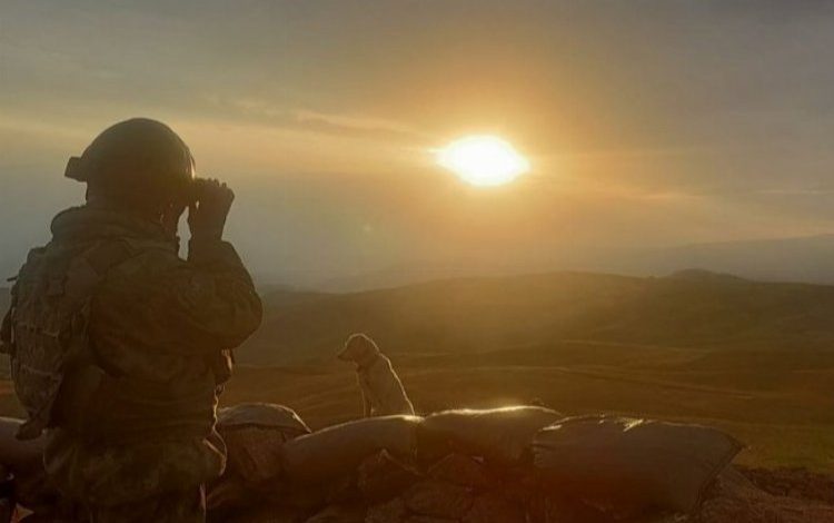 Bakan Soylu: Gri kategorideki bir terörist daha teslim oldu