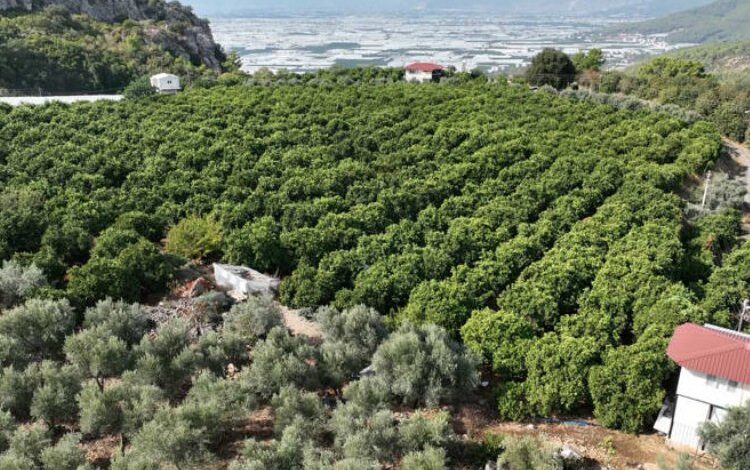 Kapalı devre sulama yüzleri güldürdü Kapalı devre sulama yüzleri güldürdü