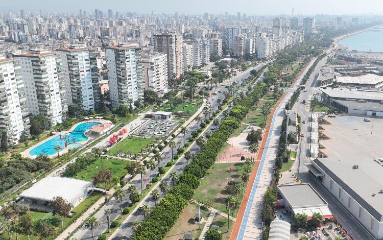 Bu parkta her şey var! Bu parkta her şey var!