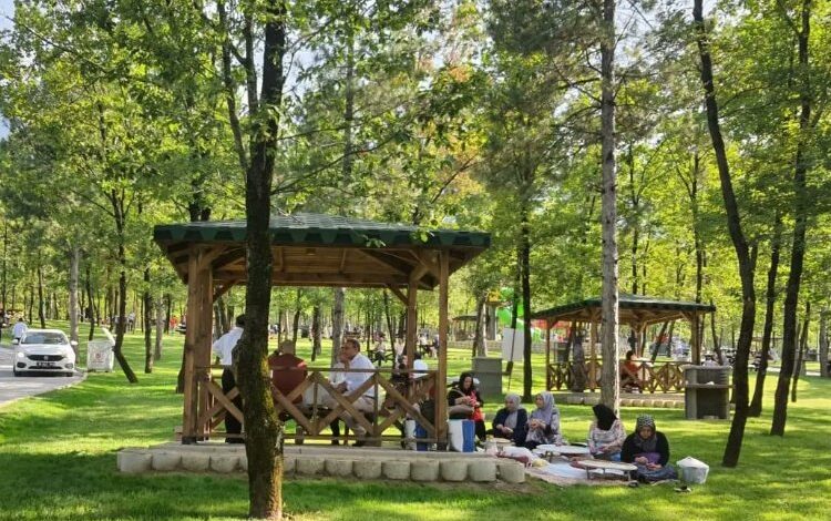 Bursa’da orman yangınlarıyla mücadelede yeni karar Bursa’da orman yangınlarıyla mücadelede yeni karar