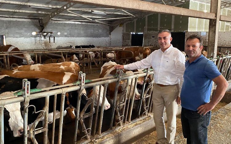 Çiğ süt fiyatı üreticiyi tatmin etmedi