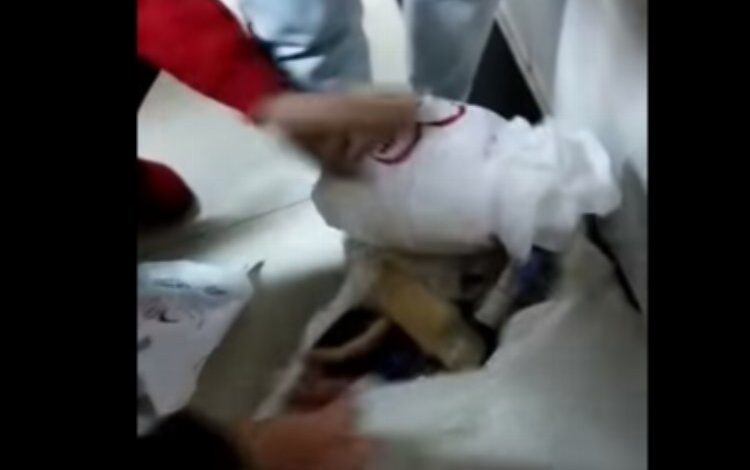 Başkan Hürriyet’ten kalpli kumanya poşetlerine siyasi diyenlere yanıt