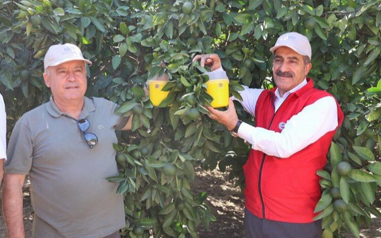 Egeli ihracatçılardan sürdürülebilir üretim için seferberlik Egeli ihracatçılardan sürdürülebilir üretim için seferberlik
