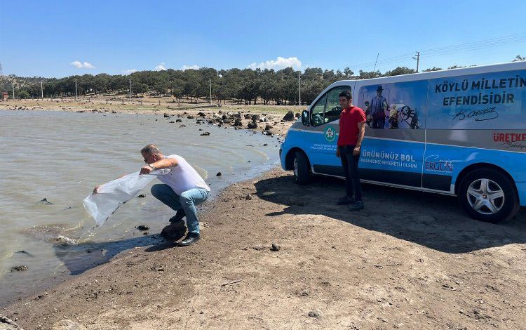 2 gölete 4 bin yavru sazan bırakıldı 2 gölete 4 bin yavru sazan bırakıldı