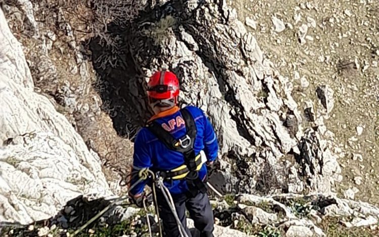 Adıyaman Gerger’de mahsur kalan 9 keçiyi AFAD kurtardı Adıyaman Gerger’de mahsur kalan 9 keçiyi AFAD kurtardı