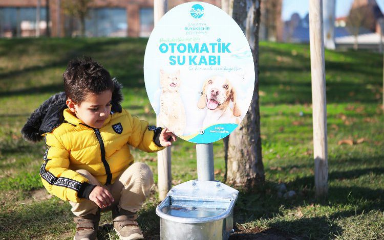 Sakarya’da hayvanlar için ‘Otomatik Suluk’ sistemi