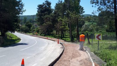 Sakarya Mahmudiye’de beton yaya yolu