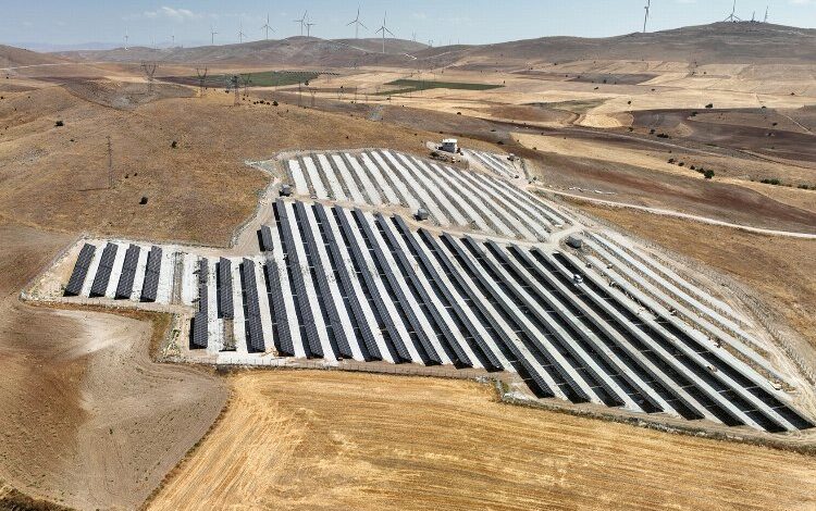 GES paneller 170 bin ağacın kesilmesini önledi! GES paneller 170 bin ağacın kesilmesini önledi!