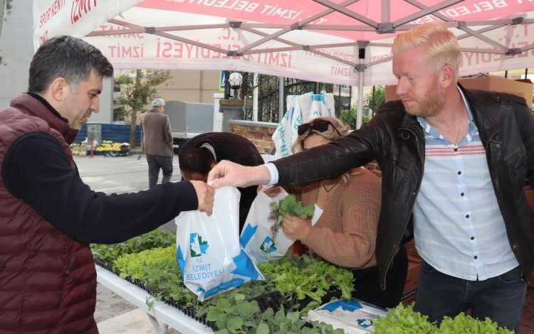 İzmit’te vatandaşa 178 bin 200 adet sebze fidesi