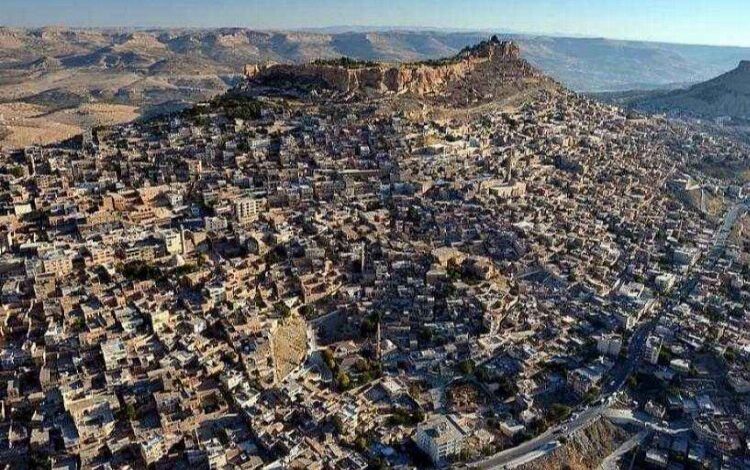 “Mardin Tarihi Dönüşüm İdaresi Başkanlığı Kurulmalı ”