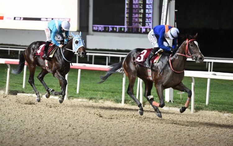 KİTVAK Koşusu’nu ‘Dragon Fire’ kazandı KİTVAK Koşusu’nu ‘Dragon Fire’ kazandı