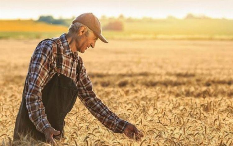 Tarım arazilerinin kullanımı etkinleştirilecek Tarım arazilerinin kullanımı etkinleştirilecek