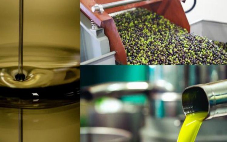 Zeytin karasuyu tarımda kullanılacak Zeytin karasuyu tarımda kullanılacak