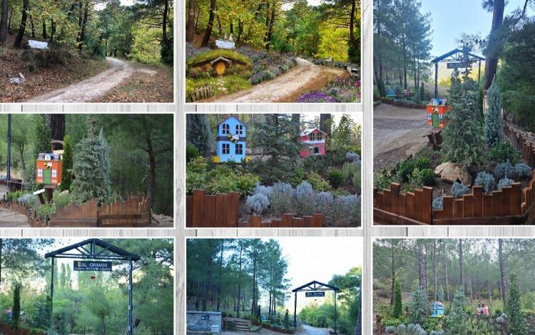 Türkiye’nin en büyük bal ormanı kuruluyor