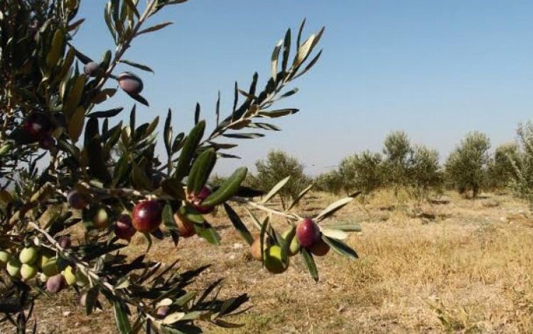 Bursa’da Başkan’dan Maden Yönetmeliği’nde yapılan değişikliğe tepki!