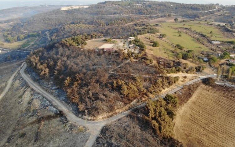 Yangınlar kontrol altına alındı