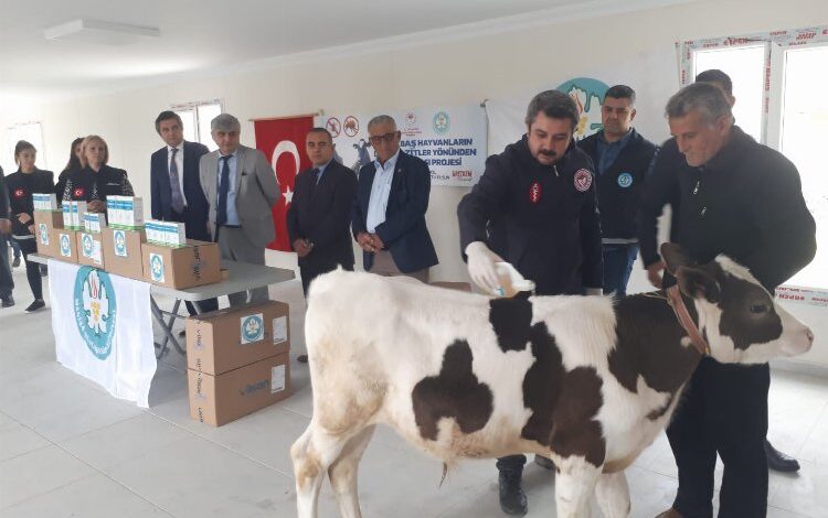 Manisa Selendili hayvan üreticilerine Büyükşehir desteği Manisa Selendili hayvan üreticilerine Büyükşehir desteği