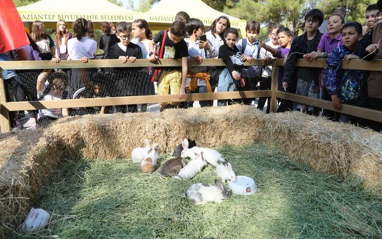 Gaziantep’ten 4 Ekim farkındalığı