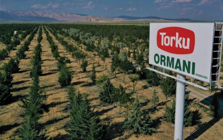 Konya Şeker’den ‘ağaç’ açıklaması