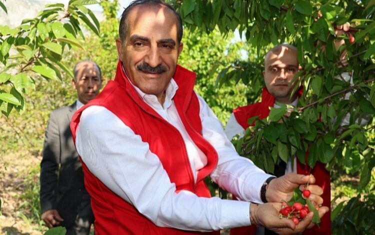 Kirazdan 205 milyon dolarlık rekor