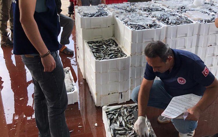 Bursa’da 119 kasa istavrite el kondu!