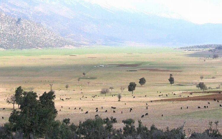 Arıtma suyu Susuz Beğiş’e can verecek Arıtma suyu Susuz Beğiş’e can verecek