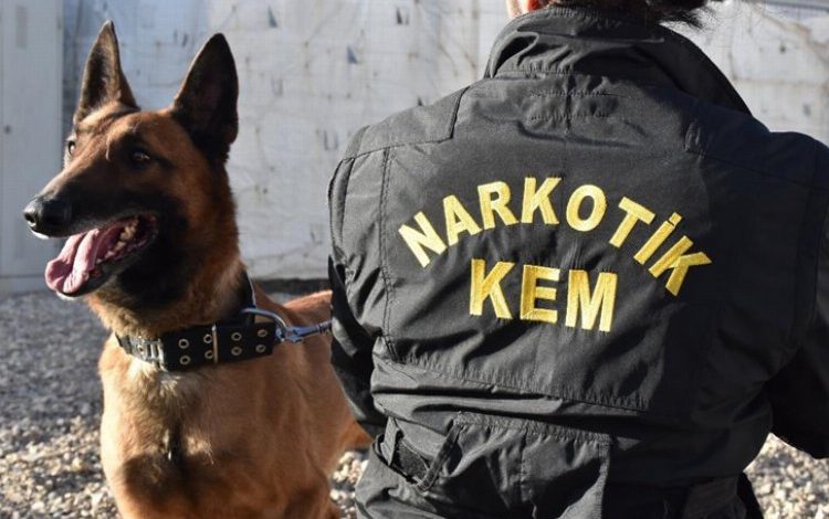 Hakkari’de dedektör köpekler polisin büyük destekçisi