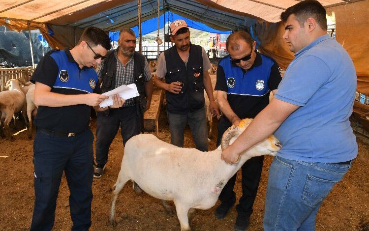 İzmir Karabağlar’da ‘kurban’ denetimleri