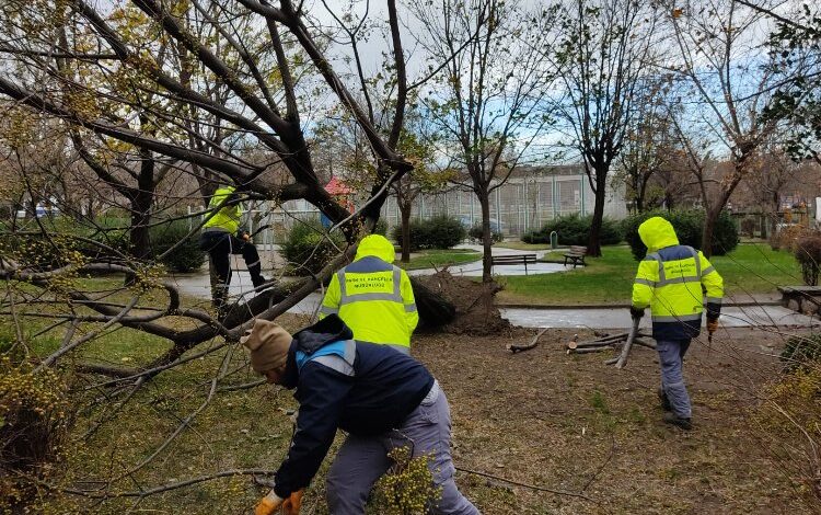Bursa Yıldırım’da lodosla etkin mücadele Bursa Yıldırım’da lodosla etkin mücadele