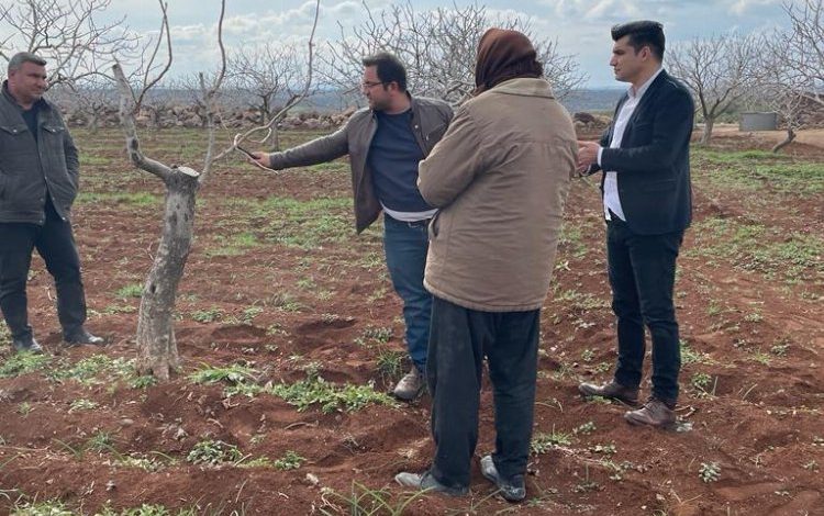 Kilis’te Antepfıstığı üreticileri bilgilendirildi Kilis’te Antepfıstığı üreticileri bilgilendirildi