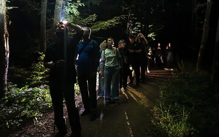 Ormanya’da macera dolu gece yürüyüşü… Yarasa dinletisi yapıldı Ormanya’da macera dolu gece yürüyüşü… Yarasa dinletisi yapıldı