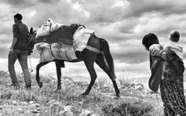 Geleneksel Fotoğraf Yarışması’nın kazananları belli oldu Geleneksel Fotoğraf Yarışması’nın kazananları belli oldu