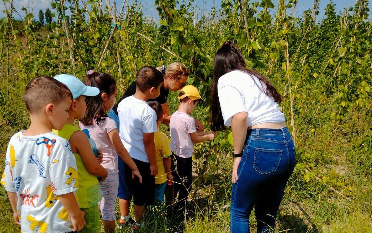 Minikler, organik tarım hasadına katıldı Minikler, organik tarım hasadına katıldı