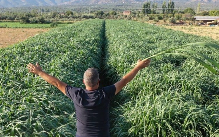 Girişimci Turhan Kendirli tarımda rekora hazırlanıyor