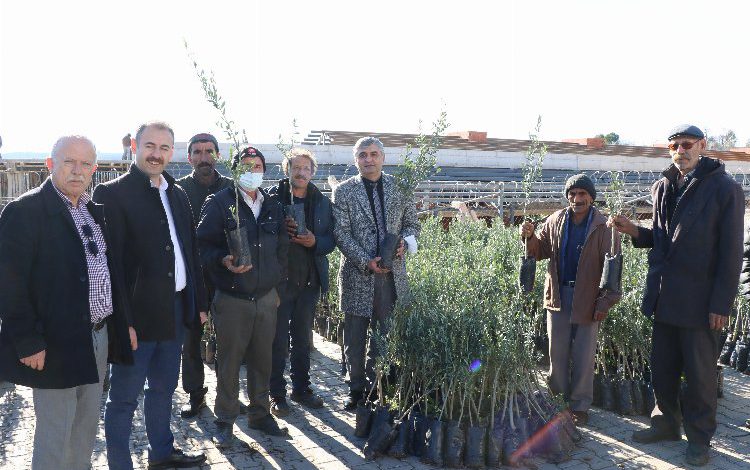 Manisa ‘da üreticiye meyve fidanı dağıtıldı Manisa ‘da üreticiye meyve fidanı dağıtıldı