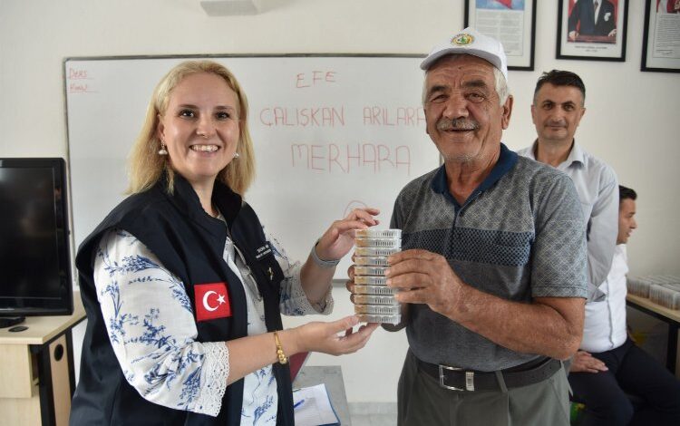 Manisa’da ana arıların dağıtımına devam