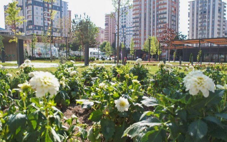 Kayseri Talas’ta rengarenk meydan