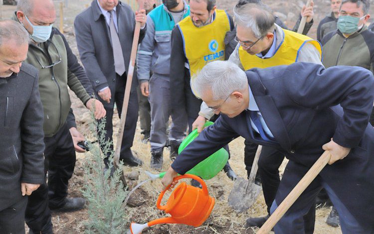 Türkiye-Kore dostluğu fidanlarla kökleşti Türkiye-Kore dostluğu fidanlarla kökleşti