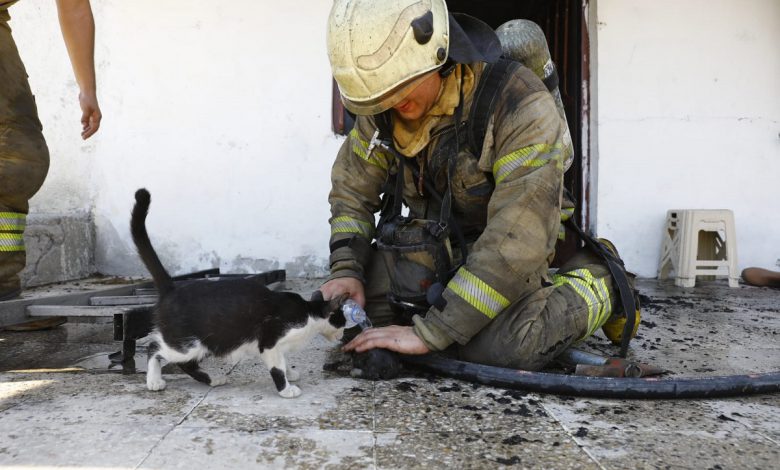 İBB ekiplerinin yangın mesaisi İBB ekiplerinin yangın mesaisi