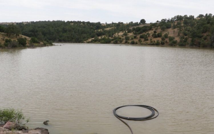 Manisa Yunusemre’de damla sulama sezonu Manisa Yunusemre’de damla sulama sezonu