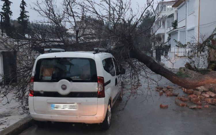 Muğla Bodrum’daki selin bilançosu ortaya çıktı: 130 ev ve iş yeri zarar gördü