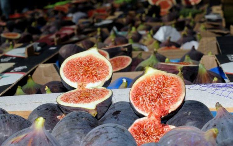 Bursa’da incir için ilk fiyatlar açıklandı