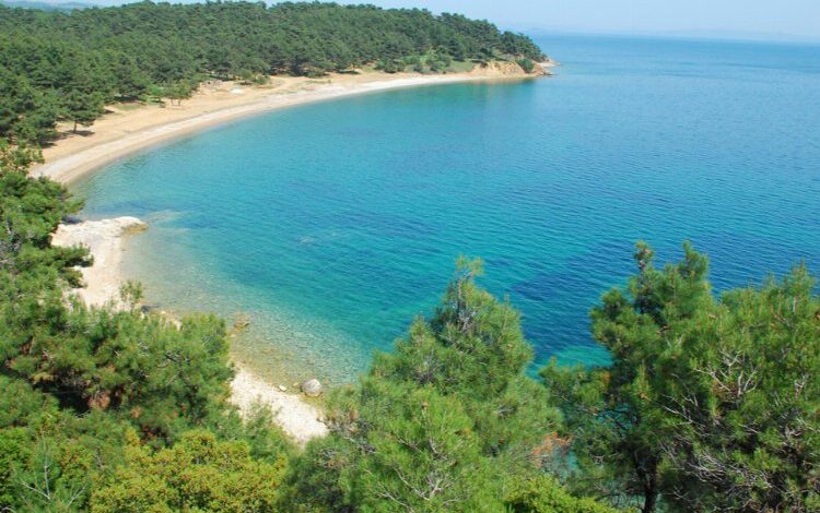 CHP’li Ün’den TBMM’ye Saros önergesi CHP’li Ün’den TBMM’ye Saros önergesi