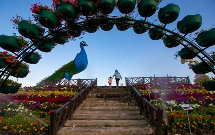 Konya Selçuklu Çiçek Bahçesi’nde en iyi kareler belli oldu Konya Selçuklu Çiçek Bahçesi’nde en iyi kareler belli oldu