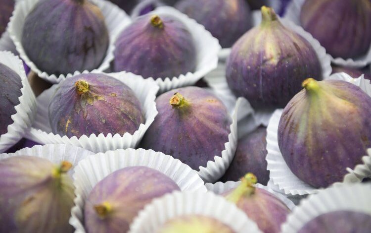 Sarılop ihracatı başladı… En çok Almanlar tercih ediyor Sarılop ihracatı başladı… En çok Almanlar tercih ediyor