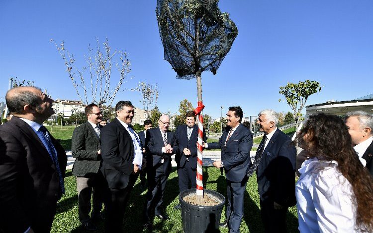 Bursa’nın Erguvanları Almanya’da kök salacak