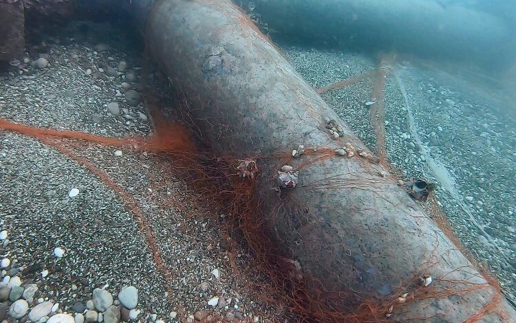 Antalya’da ‘hayalet ağ avcıları’ eğitimleri