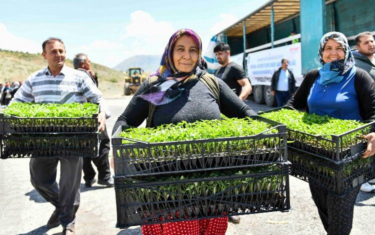 Depremzede çiftçilere 2 milyon fide hibe Depremzede çiftçilere 2 milyon fide hibe